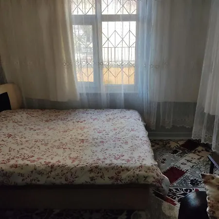 Apartamento Taurus For Rent Flat Cheap Vacation